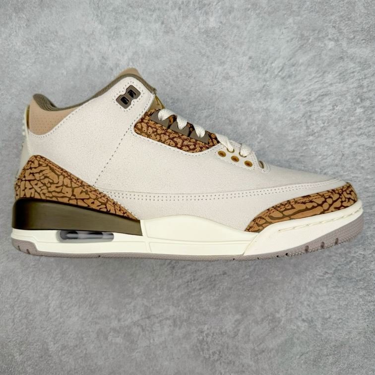 Chaussure Homme Air Jordan 3