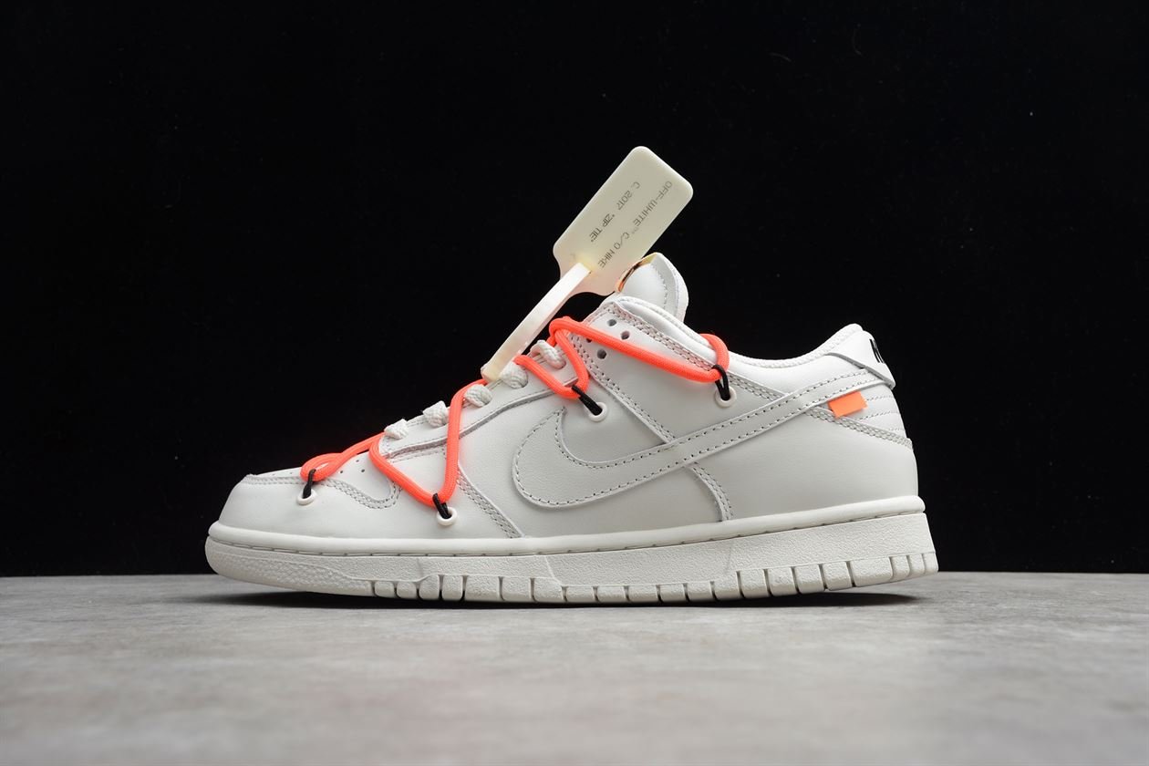 Chaussure Homme Nike SB Dunk