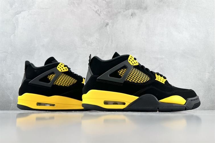 Chaussure Femme Air Jordan 4 Mid Top