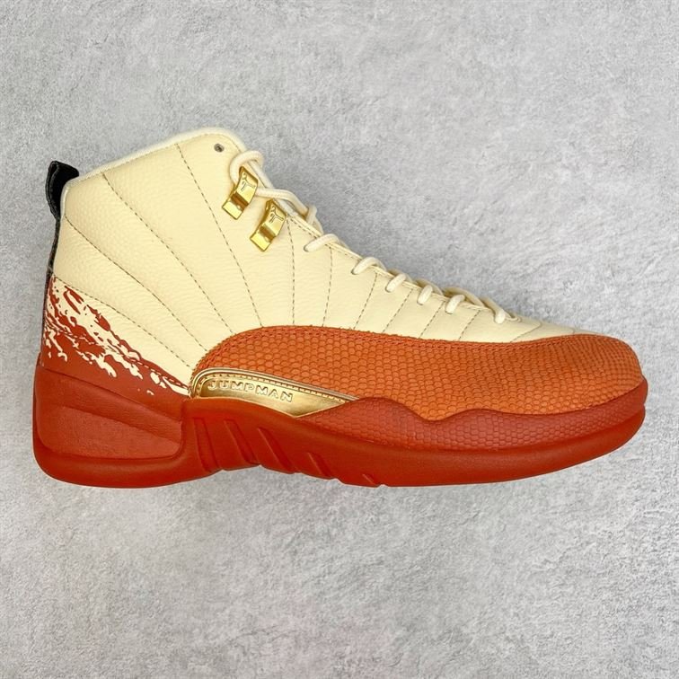 Chaussure Homme Air Jordan 12