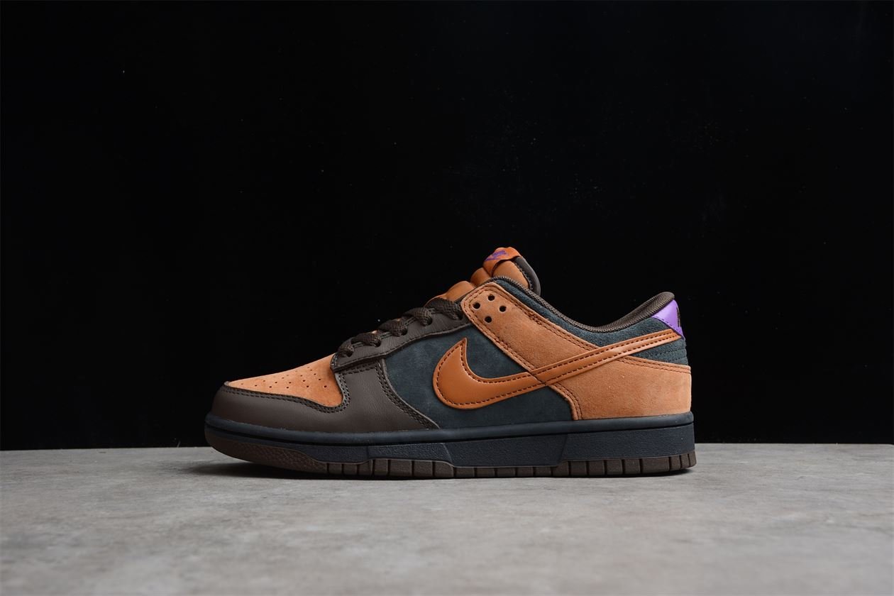 Chaussure Homme Nike SB Dunk